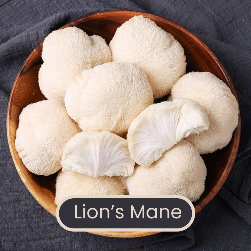 Bonbons gélifiés à la crinière de lion